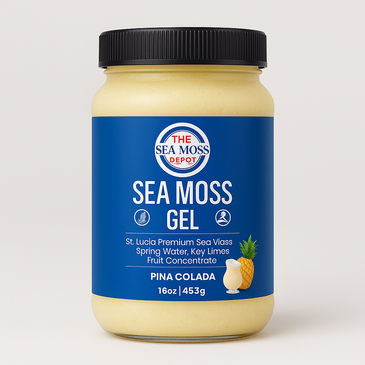 Pina Colada SEA MOSS Gel – 16oz